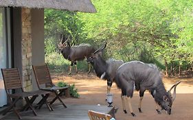 Swiblati Lodge